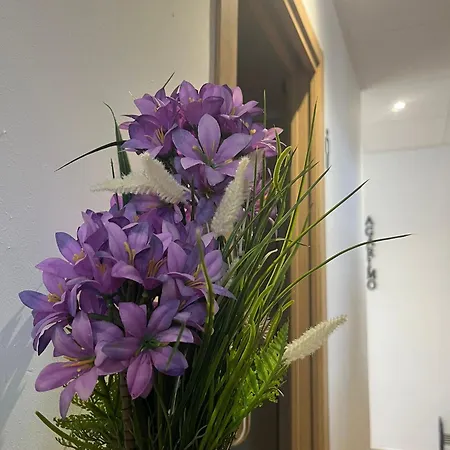 ホステル Freixo Palas de Rei